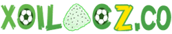 kết quả cup fa